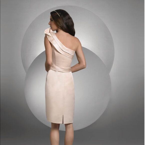CLEARANCE! Cream Bari Jay One Shoulder Sheath Gown Size 12 EUC - Picture 5 of 5